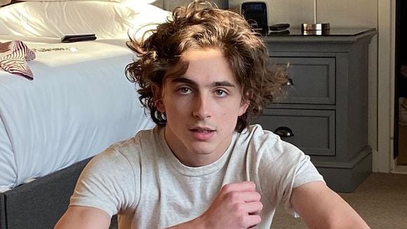 Timothée Chalamet é o crush oficial de Hollywood e estas 40 fotos são a prova