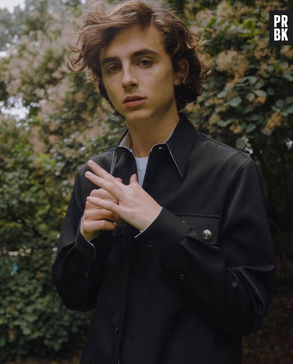 Timothée Chalamet já fez photoshoot com a Vogue