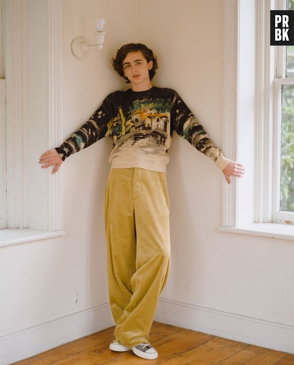 Timothée Chalamet vai se consolidando cada vez mais como grande estrela de Hollywood