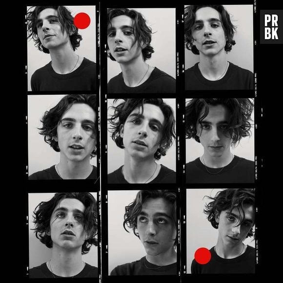 Timothée Chalamet: uma foto que vale por 9