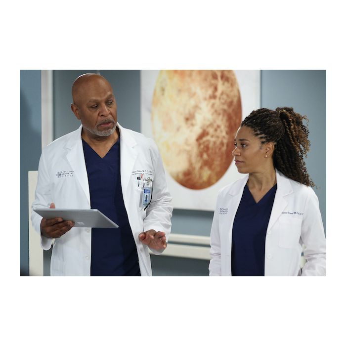  &quot;Grey&#039;s Anatomy&quot;:   Ellen Pompeo, Chandra Wilson e James Pickens Jr. retornam para a 19ª temporada    