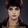 Ashley Greene, a Alice Cullen em "Crepúsculo", em entrevista ao ET Online, pareceu animada em reprisar seu papel em uma possível série derivada da franquia