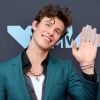 Shawn Mendes cancela turnê mundial para tratar de saúde: "Coração partido"