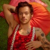 "Espécie de ritmo de canção de ninar caseira", afirmou Harry Styles sobre nova música