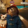 A comédia "As Aventuras de Paddington" tem direção de Paul King
