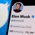Elon Musk mostra "sepultamento" da rede social e assusta a web