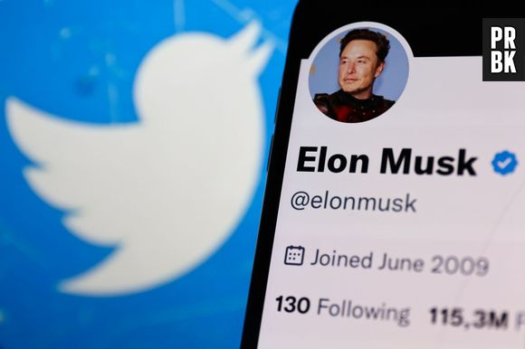 Elon Musk mostra "sepultamento" da rede social e assusta a web