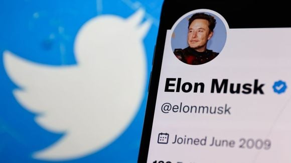 Fim do Twitter? Elon Musk mostra "sepultamento" da rede social e assusta a web