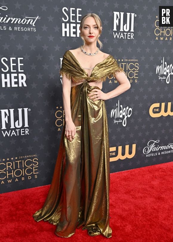 Critics Choice Awards 2023: Amanda Seyfried de Christian Dior