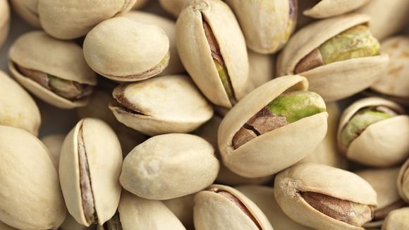 Por mais de mil anos, a Espanha foi uma potência mundial na produção de pistache. Depois, desapareceu completamente