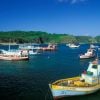 Pontos turísticos de Fernando de Noronha foram fechados para casamento de bilionário brasileiro