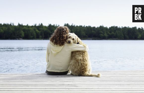 Cães e humanos: uma parceria antiga revelada por um osso antigo