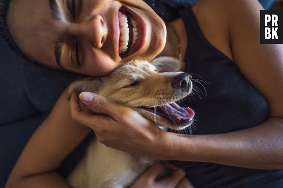 Descobrindo a antiguidade da relação entre cães e humanos através de um osso