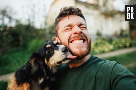 O enigma da amizade canina-humana: revelações de um osso antigo