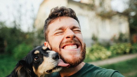 A relação entre cães e humanos é ainda mais antiga do que acreditávamos (e sabemos disso por um osso)