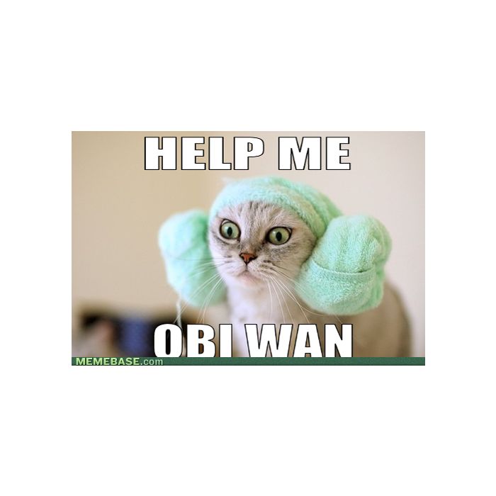  Que tal esse meme super fofo de &quot;Star Wars&quot; com Princesa Leia gatinha? 
