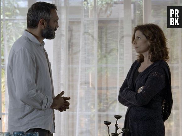 Em "Sete Vidas", Miguel (Domingos Montagner) e Lígia (Débora Bloch) terminaram e atingiram todo mundo