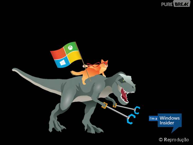 Ninja Cat vira o novo mascote do Windows 10