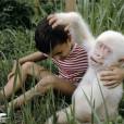  Muito engra&ccedil;ado esse filhote de gorila albino, n&eacute;? 