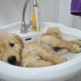  Tomando um relaxante banho de "banheira" 