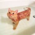  Esse gato deve ter aproveitado bastante uma banheira desse tamanho 
