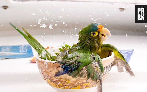 Nada como se refrescar no verão, né?