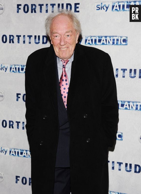 Michael Gambon tem grandes filmes no currículo, mas ficou mundialmente conhecido por conta do seu trabalho em "Harry Potter" na pele de Dumbledore