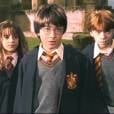  Em 2001, Harry, Hermione e Rony se tornaram os bruxos mais famosos do mundo 