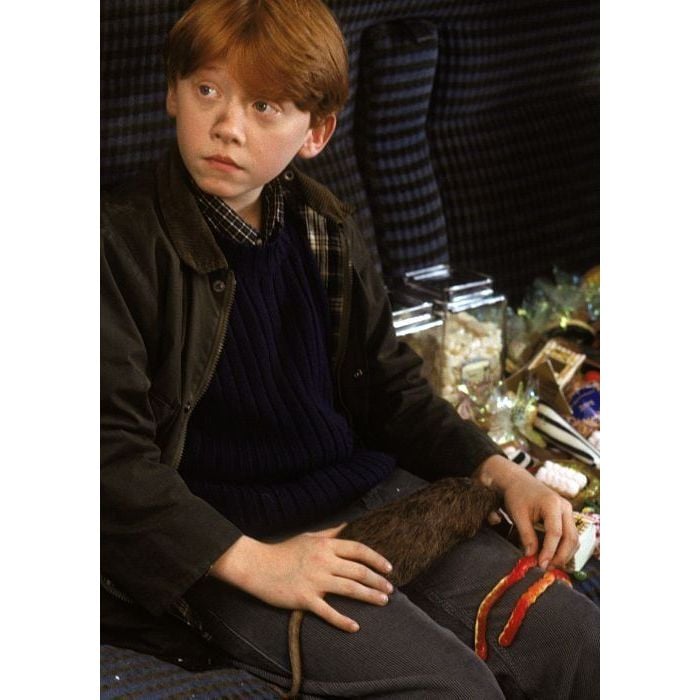  Rony Weasley era o melhor amigo de Harry Potter e um bruxo bem atrapalhado 