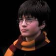  Harry Potter perdeu os pais quando ainda era um bebê e desde criança sabia que tinha grandes responsabilidades 