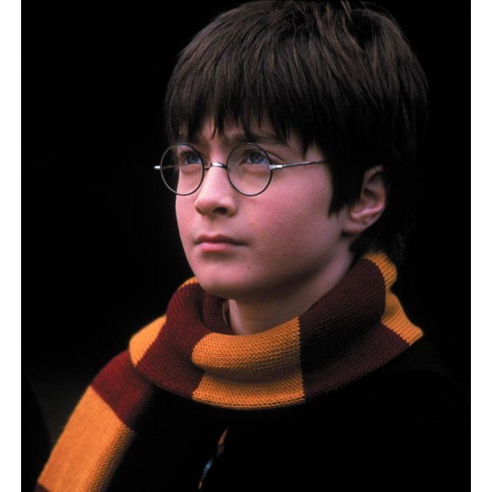  Harry Potter perdeu os pais quando ainda era um bebê e desde criança sabia que tinha grandes responsabilidades 