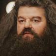  Apesar da apar&ecirc;ncia, Hagrid era um dos personagens mais bacanas de "Harry Potter" 