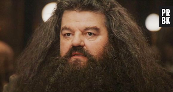 Apesar da aparência, Hagrid era um dos personagens mais bacanas de "Harry Potter"