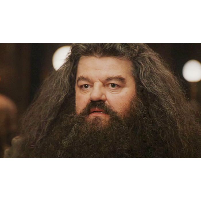 Apesar da apar&amp;ecirc;ncia, Hagrid era um dos personagens mais bacanas de &quot;Harry Potter&quot; 
