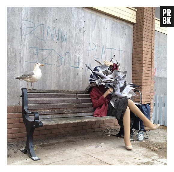 Você já viu alguém ser atacado por pombos? Na Dismaland tem tudo isso!