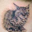 Se você for em um bom tatuador, o desenho vai ficar tão realístico quanto essa tatuagem de gatinho