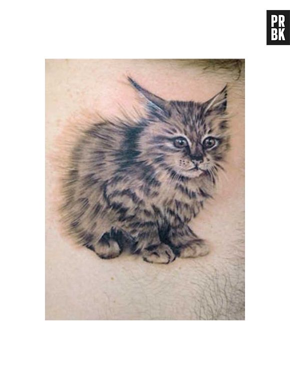 Se você for em um bom tatuador, o desenho vai ficar tão realístico quanto essa tatuagem de gatinho
