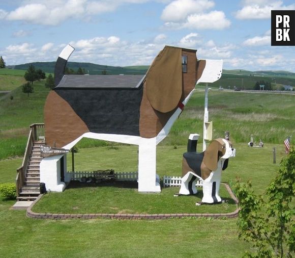 O Dog Bark Park Inn fica nos Estados Unidos e possui formato de cachorro! Tá bom ou quer mais?