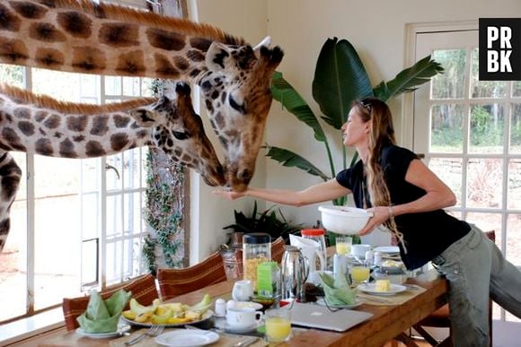 No Giraffe Menor, no Quênia, as girafas andam pelo área do hotel e ainda aparecem de surpresa nos cômodos