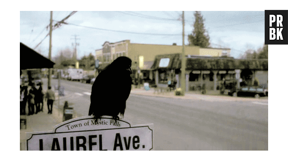 Rosewood, Mystic Falls e mais: veja as cidades da ficção onde ninguém gostaria de morar!