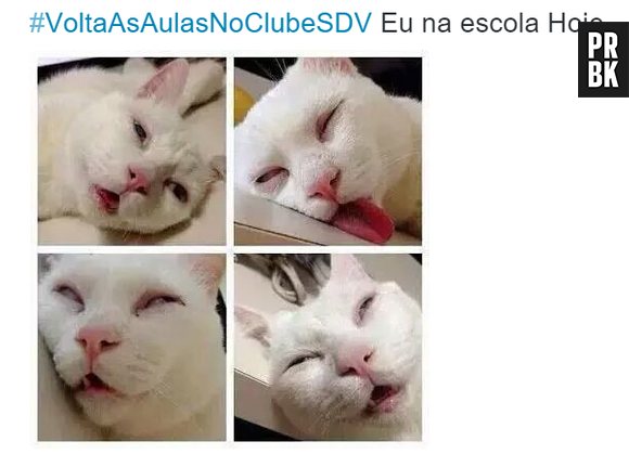 O sono na Volta às Aulas 2016 é presença confirmada