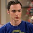 Atualmente Sheldon (Jim Parsons) é um dos personagens mais queridos de "The Big Bang Theory". Mas demorou até todo mundo entender o jeitão do nerd. Deve ser muito difícil encarar um relacionamento com o rapaz!
