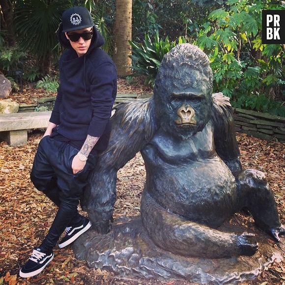 Justin Bieber e um gorila (fake) no Instagram!