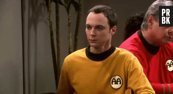 "The Big Bang Theory" é a série do signo de Gêmeos!