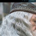 De "Animais Fantásticos e Onde Habitam": Alvo Dumbledore é confirmado para segundo filme!