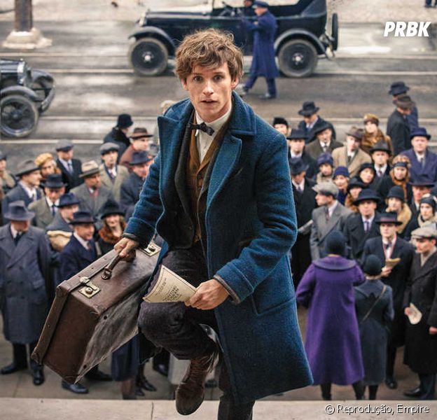 Animais Fantasticos Ja Esta Na Netflix Em Animais Fantasticos E Onde Habitam 5 Novidades De Harry