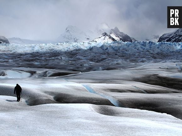 A bela paisagem congelada de Bradenton, nos EUA, ganhou a categoria Fotógrafo do Ano 2014