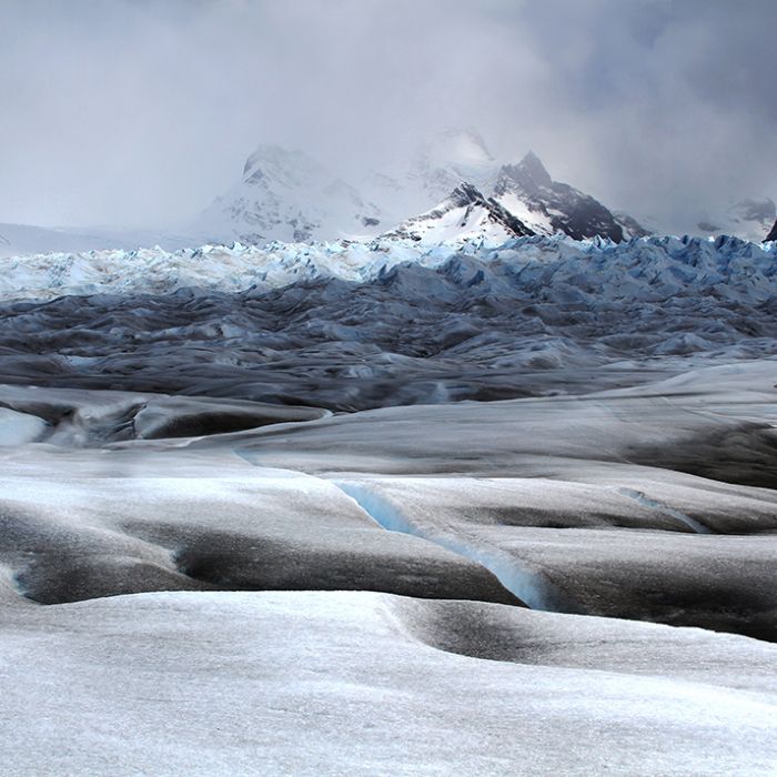 A bela paisagem congelada de  Bradenton, nos EUA,   ganhou a categoria Fotógrafo do Ano 2014 
