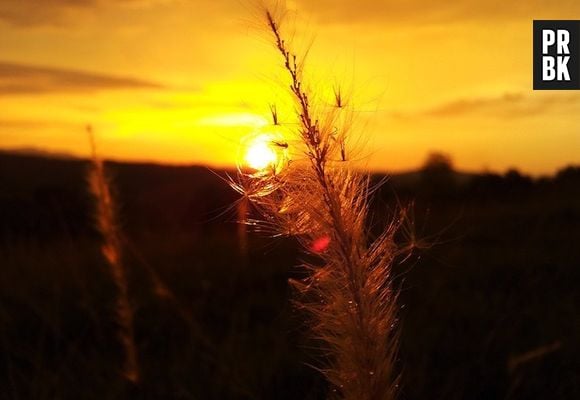 Uma bela paisagem, um celular e um olhar atento foi tudo que esta foto precisou!