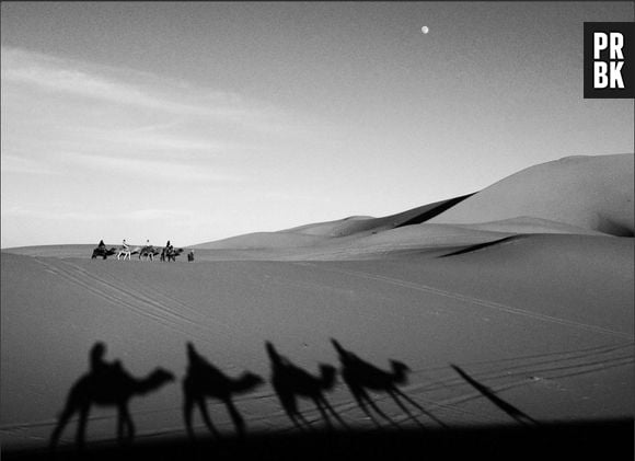 As sombras de camelos no deserto vistas pelas lentes de um smartphone.